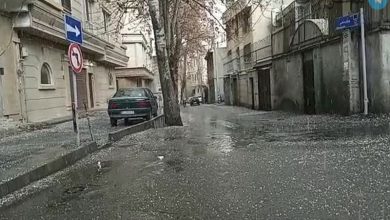 اقدام تحسین برانگیز دو جوان افغانستانی در خیابان‌های نیاوران سوژه شد! / فیلم – تلگرام آپ