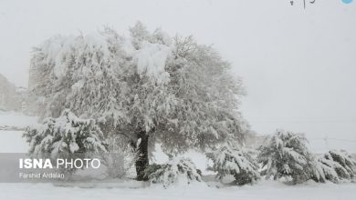 بارش برف و باران در این ۲۲ استان از پنج‌شنبه ۷ بهمن ۱۴۰۰ – تلگرام آپ