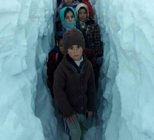 مردم برای عبور از برف در کردستان تونل زده‌اند! / عکس – تلگرام آپ