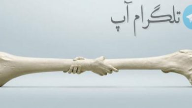اینفوگرافیک| با این ۷ توصیه استخوان‌هایتان را سالم‌ نگه دارید – تلگرام آپ