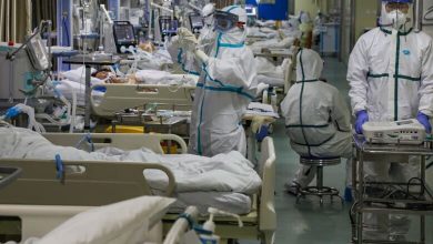 زمان پایان مرحله حاد کرونا در جهان اعلام شد – تلگرام آپ