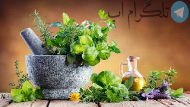 اینفوگرافیک| ۶گیاه دارویی که می‌توانید در آپارتمان پرورش دهید – تلگرام آپ