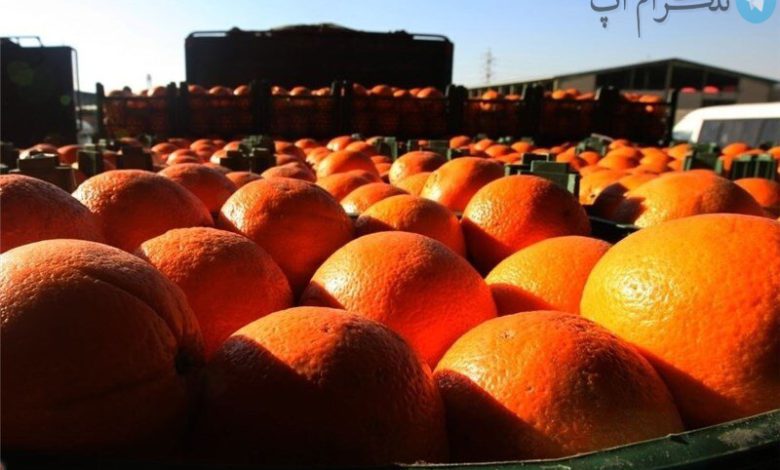قیمت مصوب میوه شب عید ۱۴۰۱ اعلام شد / هر کیلو پرتقال و سیب چند؟ – تلگرام آپ