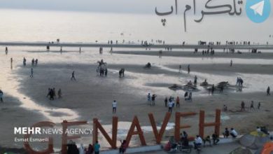 حضور گسترده گردشگران در ساحل گناوه + عکس – تلگرام آپ