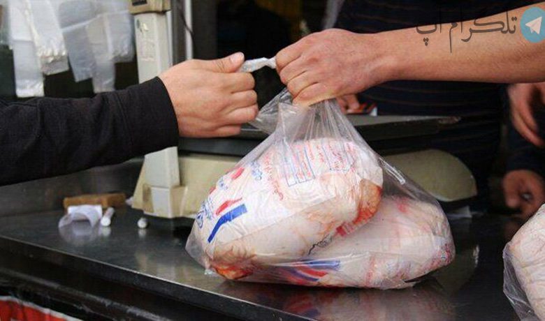 یارانه جدید دولت برای خرید مرغ + مبلغ – تلگرام آپ