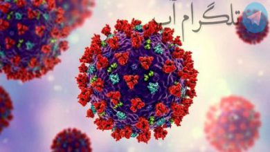 اینفوگرافیک| آمار تفکیکی بیماران کرونایی در استان همدان – تلگرام آپ