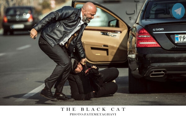 «گربه سیاه» در سینماهای اقلیم کردستان عراق اکران می‌شود – تلگرام آپ