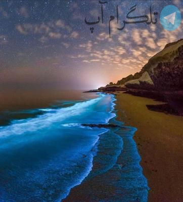 نمایی زیبا از ساحل خلیج فارس + عکس – تلگرام آپ