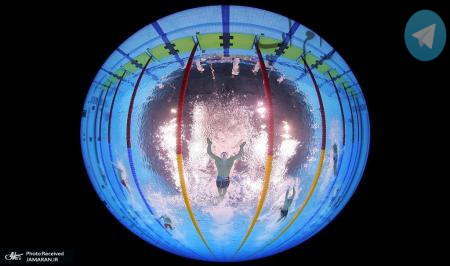 نمایی زیبا از مسابقات جهانی شنای آقایان + عکس – تلگرام آپ