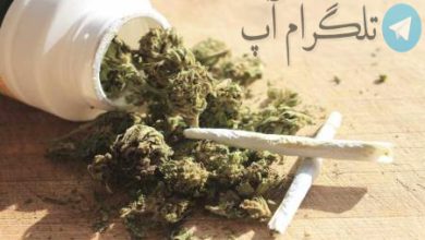 اثرات وحشتناک گل و حشیش روی بدن/اینفوگرافیک – تلگرام آپ