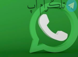 میخوای بدونی کیا تو واتساپ شماره تو دارن؟ ترفندش اینه – تلگرام آپ