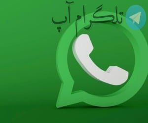 میخوای بدونی کیا تو واتساپ شماره تو دارن؟ ترفندش اینه – تلگرام آپ