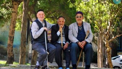 خبر مهم برای بازنشستگان/ بیمه بازنشستگان تامین اجتماعی رایگان می شود؟ – تلگرام آپ
