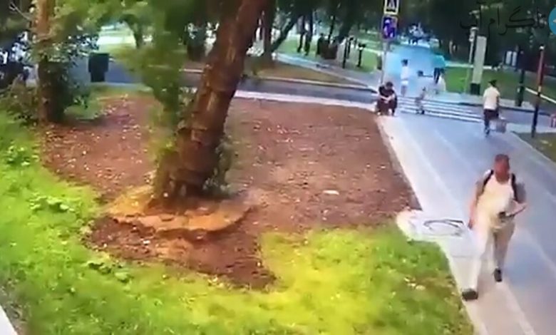 تصاویر دلخراش از لحظه سقوط مرگبار درخت روی مرد بدشانس روسی / فیلم – تلگرام آپ