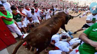 جشنواره گاوبازی در اسپانیا + عکس – تلگرام آپ