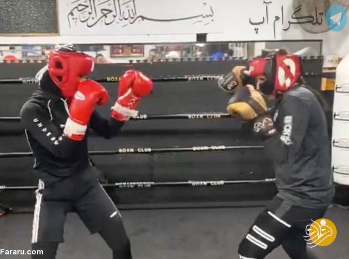 تینا رحیمی بوکسور