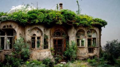 خانه ای متروک در شمال ایران + عکس – تلگرام آپ