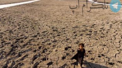 کودکی از بستری خشک شده در باتلاق های جنوبی + عکس – تلگرام آپ