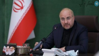 پیام تسلیت قالیباف در پی درگذشت امین تارخ   – تلگرام آپ