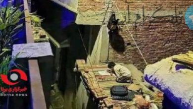 تصویر کودک مصری نامزد عکس سال دیلی میل + عکس – تلگرام آپ