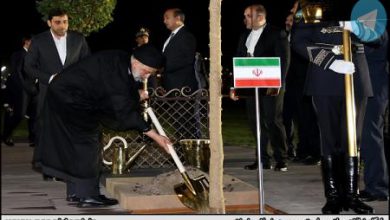 کاشت نهال توسط رئیسی در سمرقند + عکس – تلگرام آپ