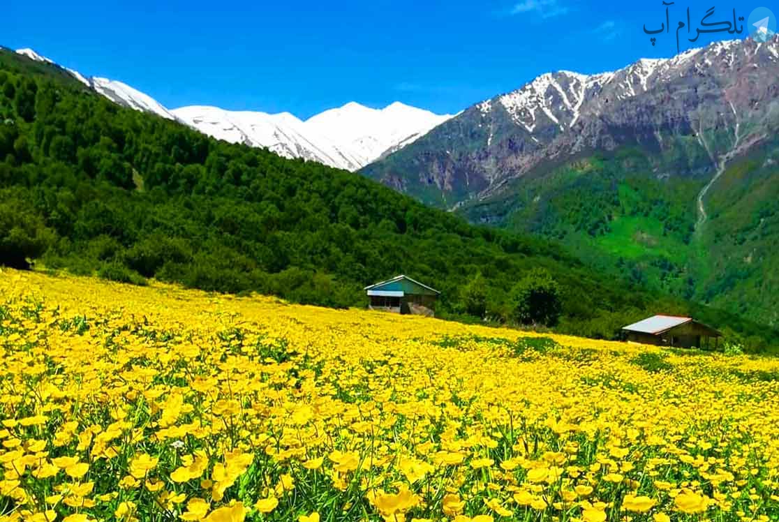 دشت دریاسر