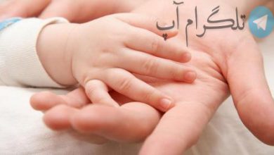 اینفوگرافیک | ۱۰ باور غلط درباره فرزندآوری را بشناسید – تلگرام آپ