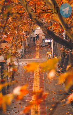 پاییز در ارومیه زیبا + عکس – تلگرام آپ