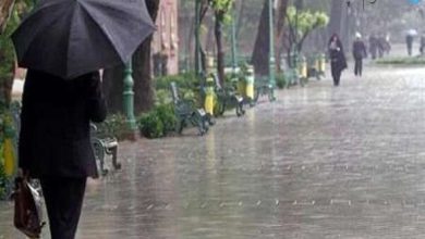 سازمان هواشناسی هشدار داد / بارش‌های خطرناک و احتمال وقوع سیل در این ۴ استان – تلگرام آپ