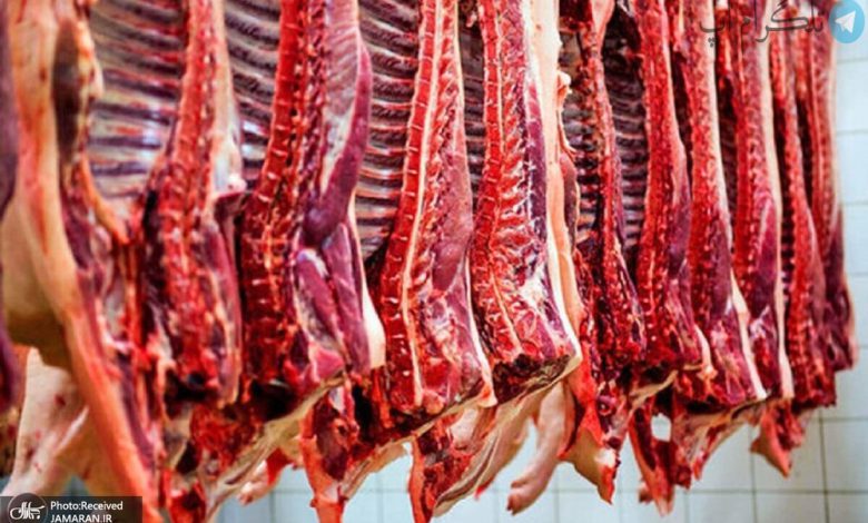 گوشت قرمز گران شد / ۲ عامل اصلی گرانی قیمت گوشت مشخص شد – تلگرام آپ