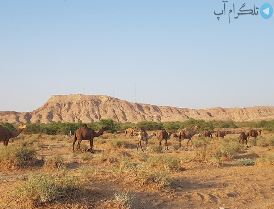 زیباترین روستاهای اطراف اهواز