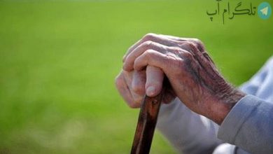 حقوق مستمری‌بگیران تامین اجتماعی واریز شد – تلگرام آپ