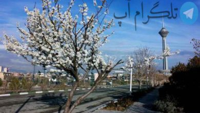 اینفوگرافیک | پاک‌ ترین و آلوده‌‌ترین سال هوای تهران در دو دهه اخیر – تلگرام آپ