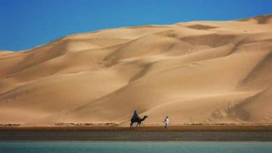 تصویری زیبا از تلفیق کویر و دریا در بندر تنگ + عکس – تلگرام آپ