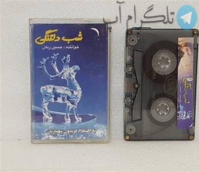 حسین زمان خواننده پاپ درگذشت / از آمریکا به فکه؛ از مهندسی به خوانندگی