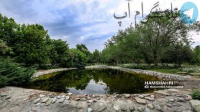 تصاویری زیبا از باغ گیاه شناسی تهران – تلگرام آپ