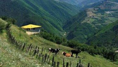 نمایی زیبا از روستای ایزکی شهرستان رامسر + عکس – تلگرام آپ