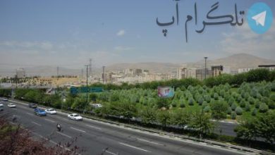 اینفوگرافیک| سرعت تکمیل درختکاری در کمربند سبز تهران – تلگرام آپ