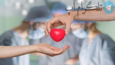 اینفوگرافیک | تعداد ایرانی‌هایی که کارت اهدای عضو دارند – تلگرام آپ