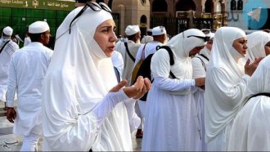 حضور زائران خارجی در مدینه منوره + عکس – تلگرام آپ
