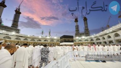 موسم حج در سرزمین وحی+ عکس – تلگرام آپ
