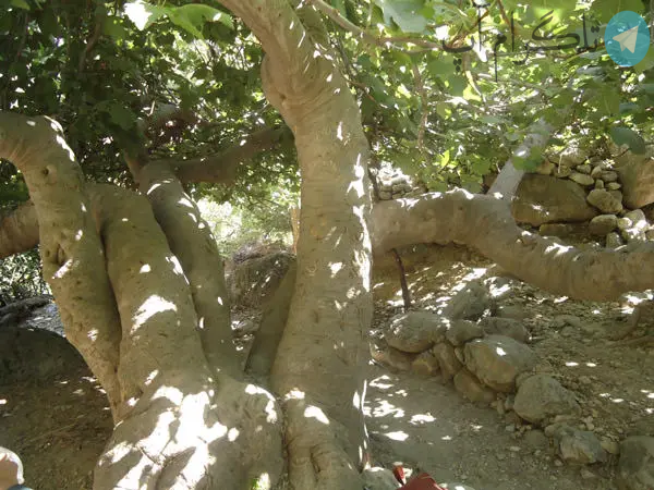 بکرترین روستای کهکیلویه و بویر احمد