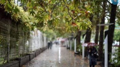 آسمان ایران بارانی می شود | رگبار و رعد و برق در انتظار این استان ها – تلگرام آپ
