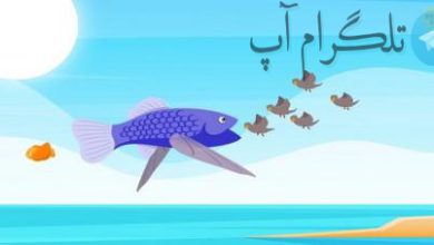 یک میلیون سال دیگر حیوانات کره زمین چه شکلی خواهند بود؟+ تصاویر – تلگرام آپ