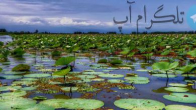 اینفوگرافیک| بارش‌های سیل آسا در راه ایران – تلگرام آپ