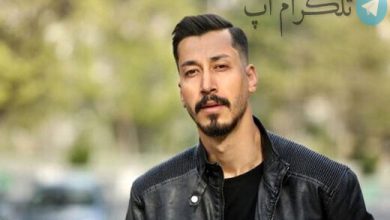 اتفاق عجیب برای بازیگر پایتخت در ورزشگاه آزای / عصبانیت بهرام افشاری + فیلم – تلگرام آپ
