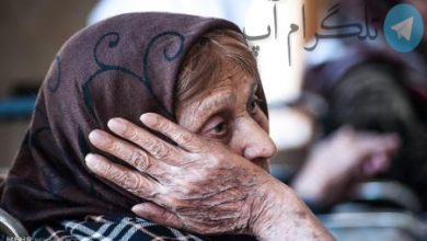 اینفوگرافیک| افزایش آمار سالمندان مجرد در ایران – تلگرام آپ