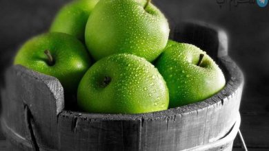 عرضه میوه شب عید حداقل ۳۰ درصد ارزان‌تر از بازار – تلگرام آپ