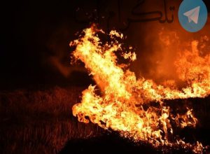 واکنش بازیگران به آتش سوزی بیمارستان گاندی – تلگرام آپ