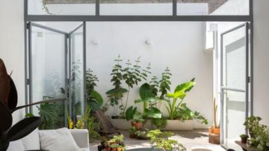 خانه ۵۲ متری زیبایی که در اینترنت پرطرفدار شده+عکس – تلگرام آپ